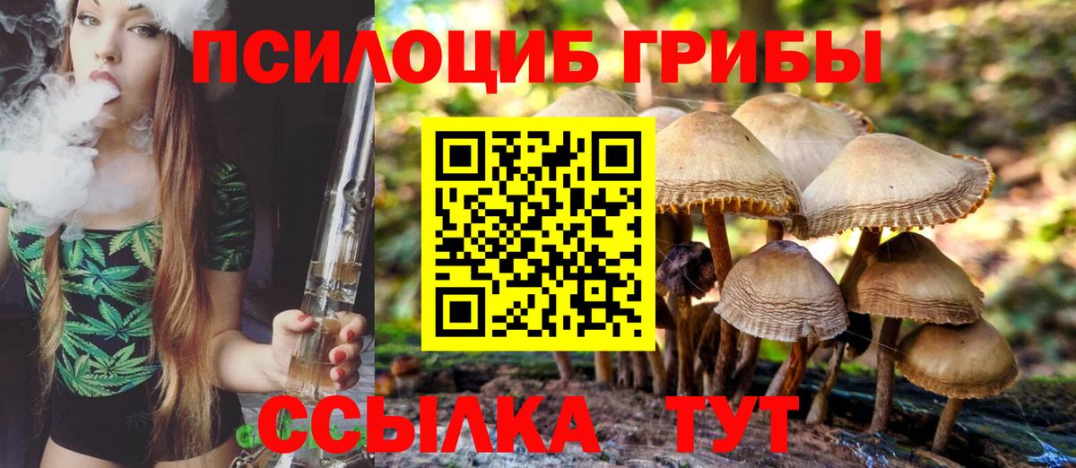 Псилоцибиновые грибы Cubensis Новоуральск
