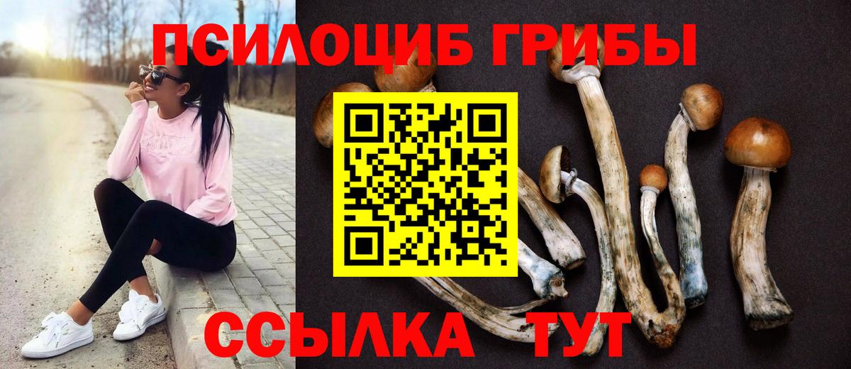 Псилоцибиновые грибы Magic Shrooms  Псилоцибиновые грибы ЛСД  Вход с VPN  Новоуральск 